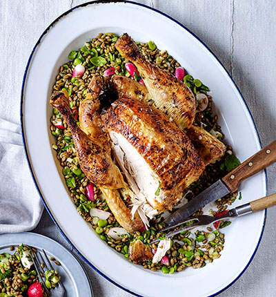 Preserved lemon roast chicken with freekeh salad