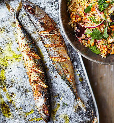 Roast mackerel with beet & spelt salad