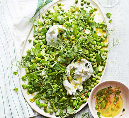 Scorched Sugar Snap Peas And Burrata Salad Recipe