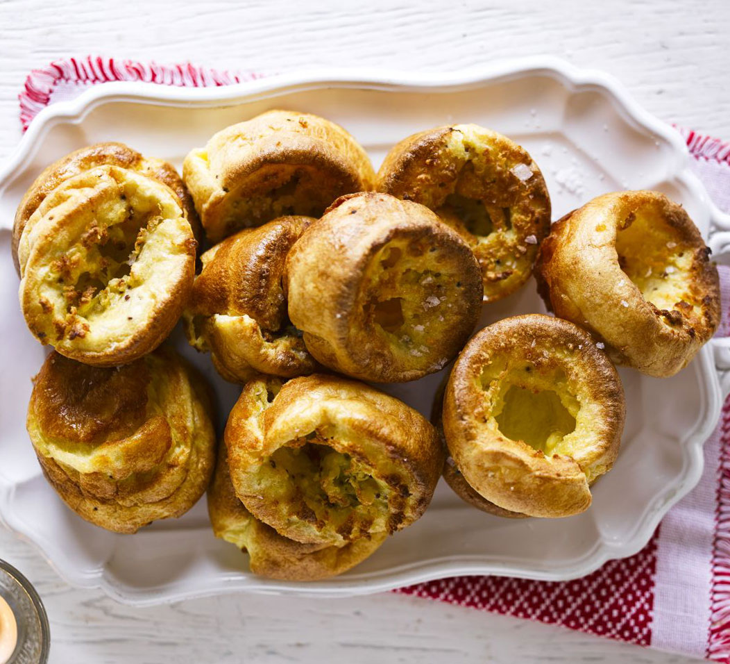 Mustard Yorkies