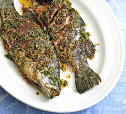 Barramundi with Moroccan spices