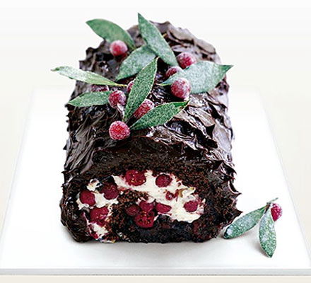 Dark chocolate & cranberry roulade