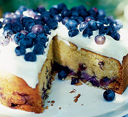 Blueberry soured cream cake with cheesecake frosting