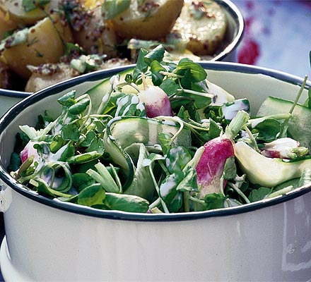 Crunchy watercress, cucumber & radish salad