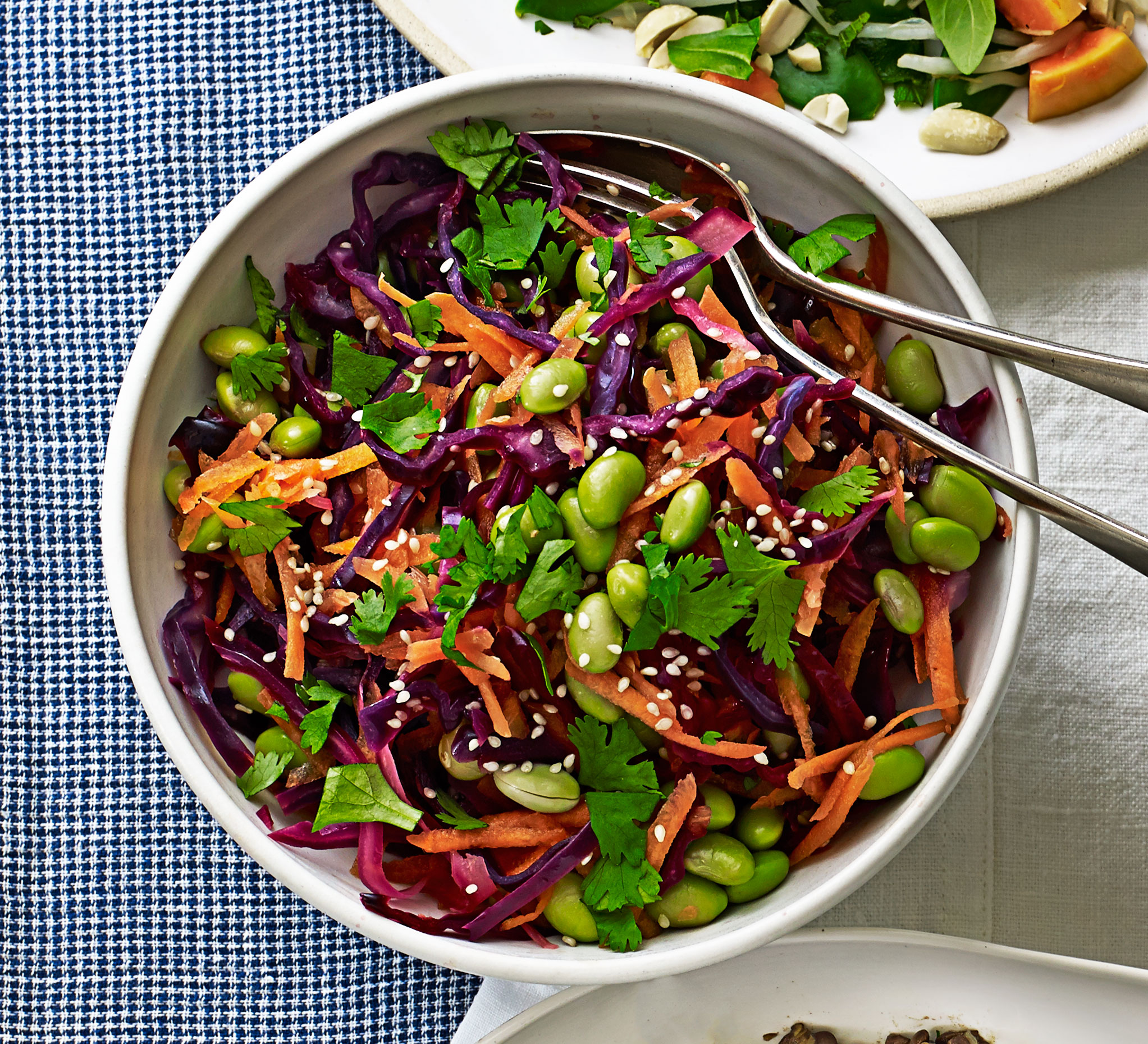 Red cabbage with carrot & edamame beans