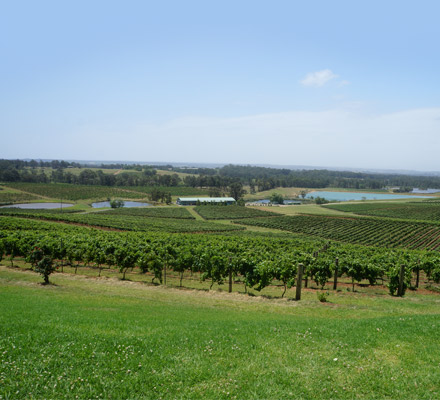 On a gastronomic hunt!