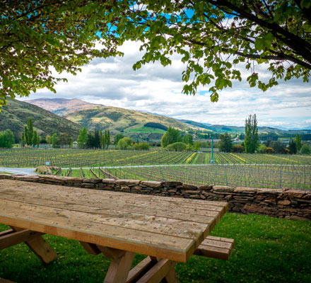 On a chef’s trail in New Zealand