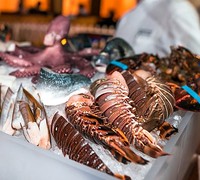 Seafood fans will love this lively Wednesday night offer in Abu Dhabi