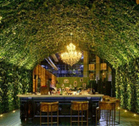 Dinner review: Vii Dubai Terrace and Lounge