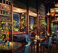 Brunch review: Coya, Four Seasons