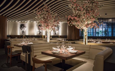 STK launches new Thursday evening brunch