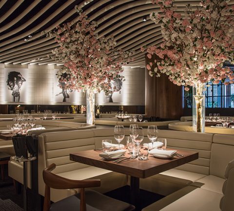 STK launches new Thursday evening brunch