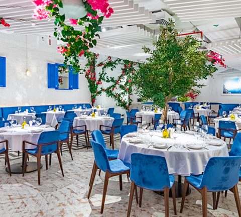 Dinner review: Opa Dubai