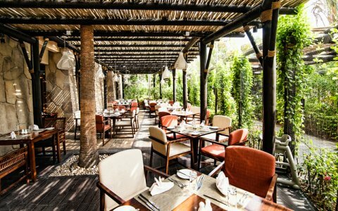 Fun for the whole family at this Palm Jumeirah Saturday brunch