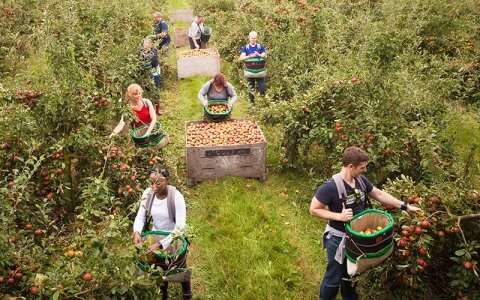 Farm to fork: Waitrose’s sustainable ethos brings high-quality produce to the region