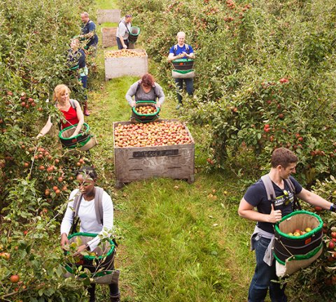 Farm to fork: Waitrose’s sustainable ethos brings high-quality produce to the region