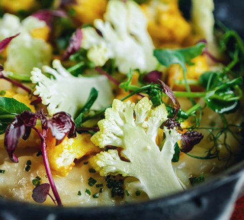 New vegetarian and gluten-free dishes added to COYA’s lunch menu