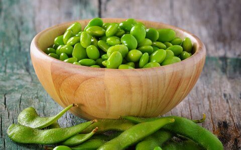 5 plant-based foods to increase energy levels