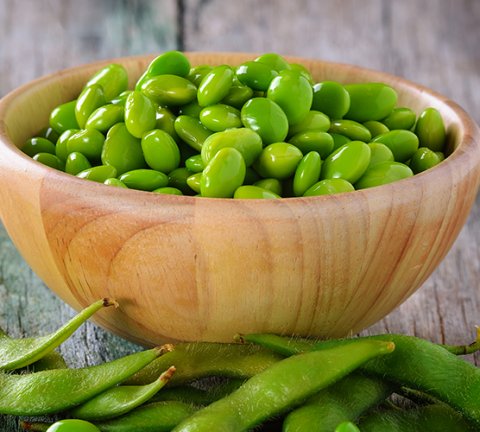 5 plant-based foods to increase energy levels