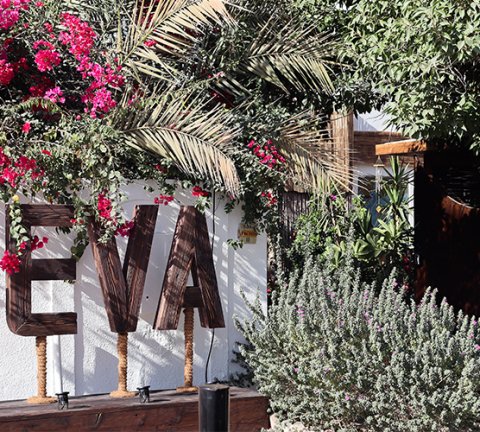 Life’n One reborn as vegan wellness hub and café, SEVA