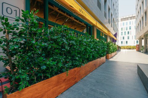 Bolla DIFC offers a bistro setting at the heart of the financial district