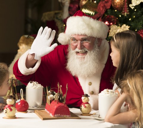 Celebrate the holiday season at Fairmont The Palm