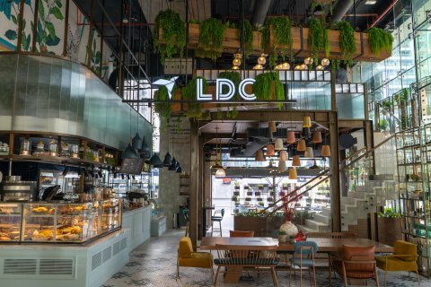 Pet’s Day Out at LDC Kitchen and Coffee