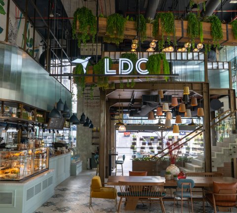Pet’s Day Out at LDC Kitchen and Coffee