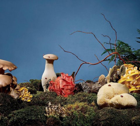 INKED launches Mushroom Mania