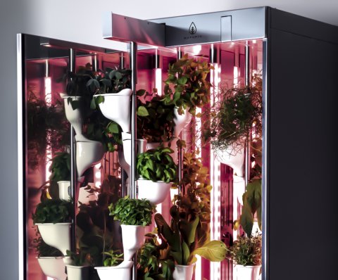 Natufia Labs relocates to KSA’s sci-tech university, KAUST