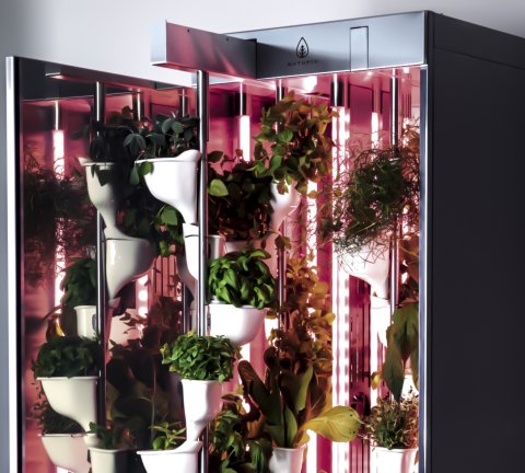 Natufia Labs relocates to KSA’s sci-tech university, KAUST