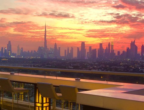 Experience authentic Japanese cuisine at TOMO