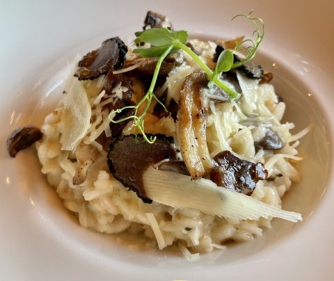 New menu launches at The City Grill