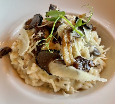New menu launches at The City Grill