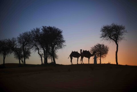 Romance in Ras Al Khaimah