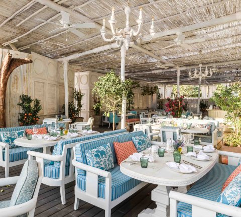 There’s a new seafood spot in town!