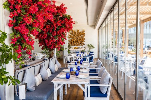 Celebrate Orthodox Easter at AMMOS