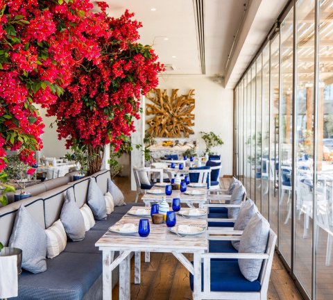 Celebrate Orthodox Easter at AMMOS