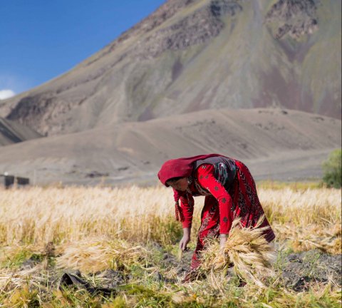 MIRA, a new social enterprise launches in the UAE