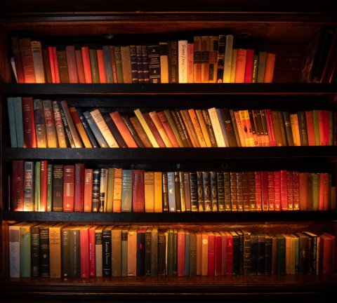 McCafferty’s to open in Circle Mall, Jumeirah Village Circle