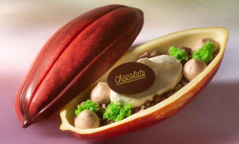 Celebrate World Chocolate Day