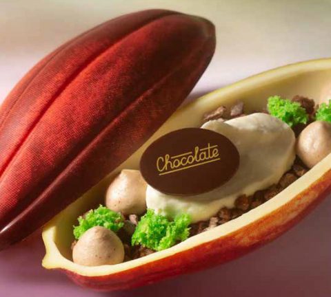 Celebrate World Chocolate Day