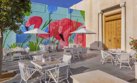 Organise your workshop for free at Bounty Beets