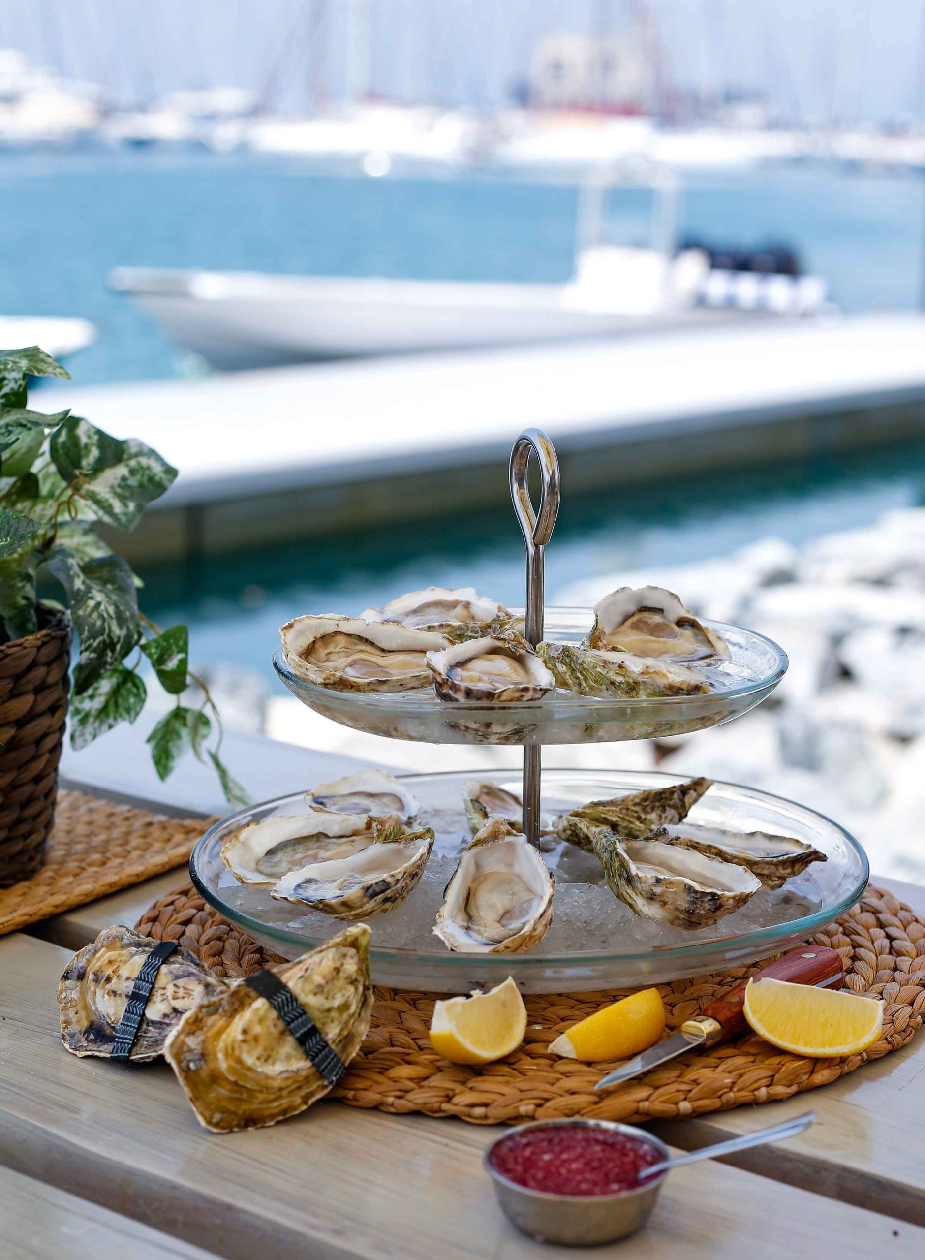 Presenting Dibba Bay the only gourmet oyster farm in the Middle East