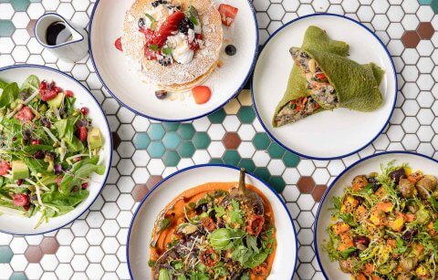 Our top 10 picks for Veganuary