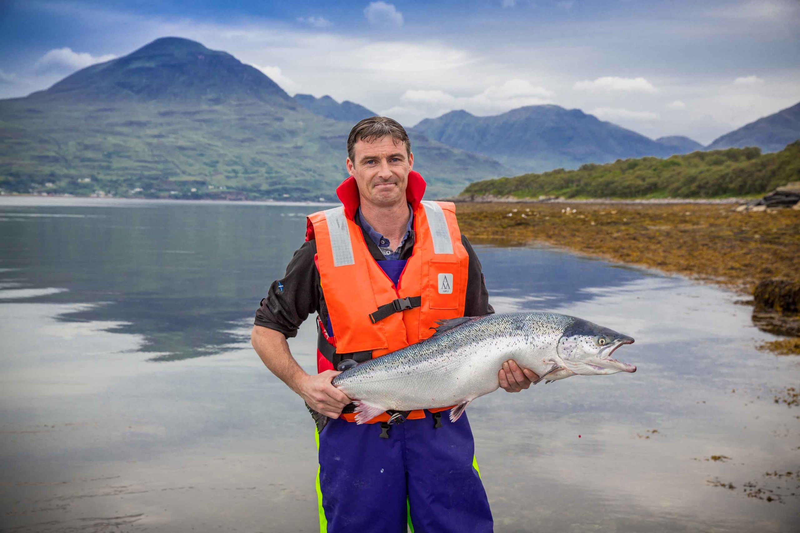 seafood from scotland middle east