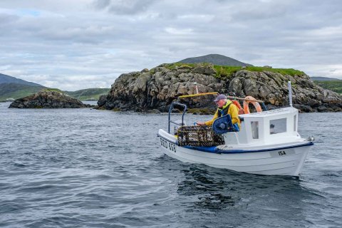 Discover Seafood from Scotland in the UAE