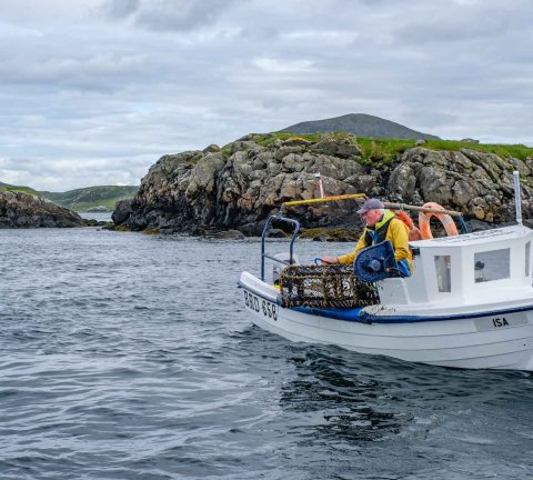 Discover Seafood from Scotland in the UAE