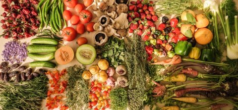 Visit Teible, a new local seasonal dining concept in Dubai