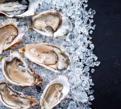 Dubai’s Waterfront Market launches e-grocery store